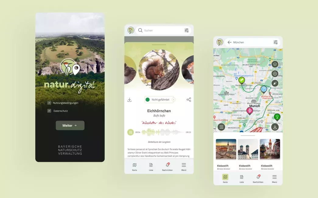 nature-digital-project